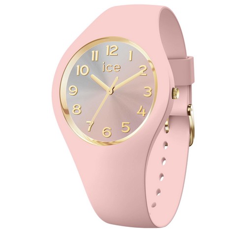 ICE WATCH