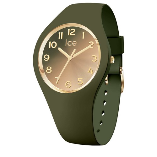 ICE WATCH