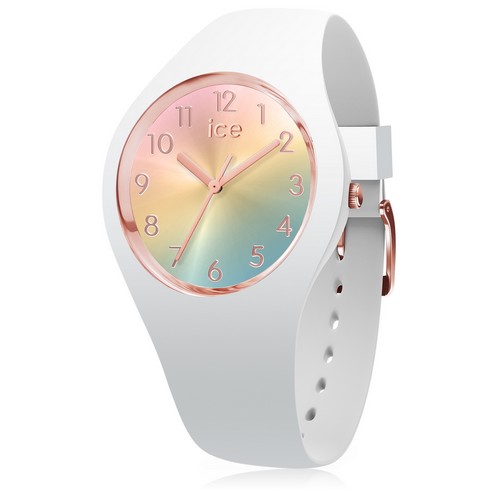 ICE WATCH